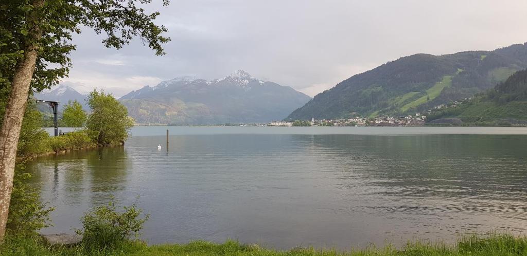 Panorama Chalets am Pass Thurn room 3